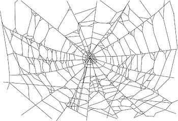 Amazing Spider Web & Backgrounds HD wallpaper