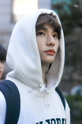 hyunjin bestiematerial, kpop, stray kids HD phone wallpaper