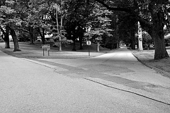 Fork In The Road, beautiful road, scenic road, beautiful neighborhood, street HD wallpaper