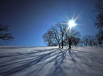 Winter Land, winter, beautiful, , land HD wallpaper