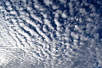 Nature, Sky, Clouds, Summer, Curly HD wallpaper
