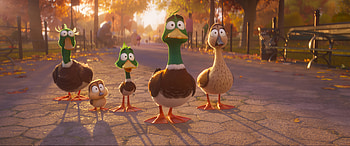 Migration 2023 Movie Ducks, movie, Migration (2023) HD wallpaper
