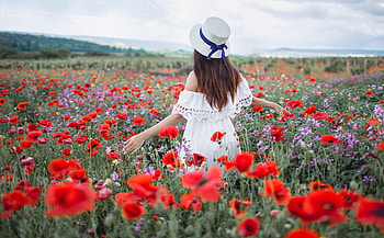 lady, model, graphy, beauty HD wallpaper
