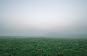 Nature, Grass, Fog, Field, Thick, Impenetrable HD wallpaper