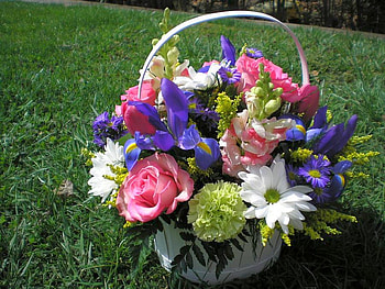 Beautiful Flowers, cool, beautiful, flowers HD wallpaper