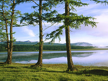 Mountain, , Landscape, Lake, Tree HD wallpaper