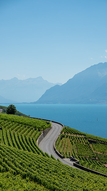 Nature, Mountains, Sea, Bush, Road, Slope HD phone wallpaper