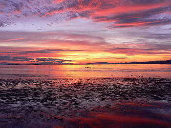 Comox Sunrise, tranquility, beautiful, comox, sunrise HD wallpaper