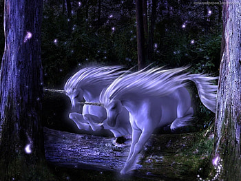 Fantasy, Unicorns HD wallpaper