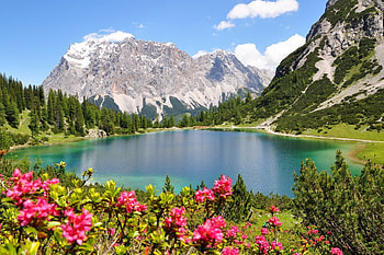 Mountain lake, landscape, beautiful, rocks, serenity, tranquil, mountain, lake, summer, wildflowers, reflection, cliffs, nature, peak, calm, clear HD wallpaper