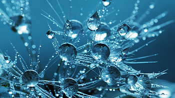 Clear Water Drops HD wallpaper