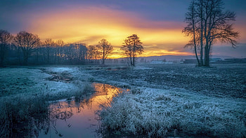 Frosty Sunset, river, snow, colors, clouds, trees, landscape, sky, ice HD wallpaper