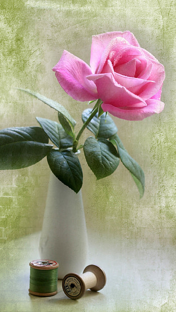 Elegant Pink Rose Vase Ikebana Art HD phone wallpaper