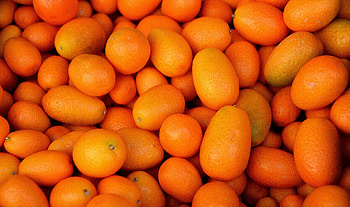 Fruits, Food, Lot, Kumquat HD wallpaper