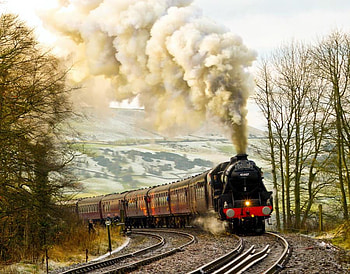 Snow Tracks, winter, snow, trees, tracks, train, steam HD wallpaper