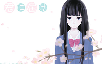 Kimi ni Todoke, backgrounds HD wallpaper