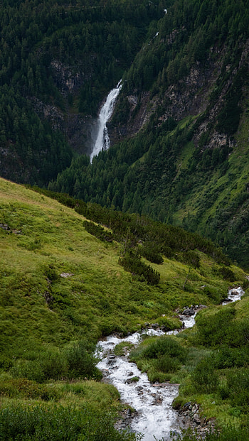 Nature, Rivers, Trees, Grass, Rocks, Waterfall HD phone wallpaper