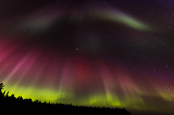 Nature, Trees, Starry Sky, Northern Lights, Aurora Borealis, Aurora HD wallpaper