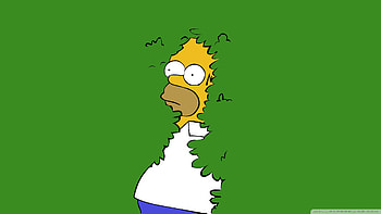 The Simpsons, Homer Simpson, Tv Show HD wallpaper