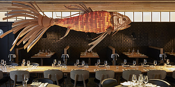 Izakaya Munchen, Restaurants HD wallpaper
