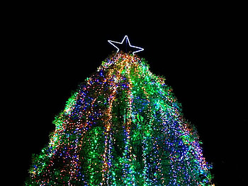 TREE, star, blue, lights, christmas, green, red HD wallpaper