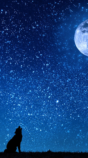 Wolf Howling at Full Moon, moon, tree, star, starry sky, night, silhouette, Animal, wolf HD phone wallpaper