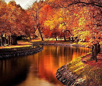 River, trees, autumn, stockholm HD wallpaper