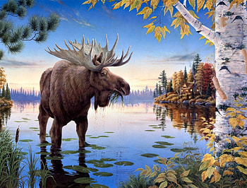 beauty of nature, amit, omdave, matu, hrdave HD wallpaper