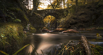 Bridge, forest, water, stream HD wallpaper