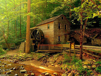 Forest mill, river, creek, peaceful, serenity, nice, trees, greenery, autumn, water, calm, mill, fall, beautiful, water mill, stones, summerm, falling, leaves, green, nature, lovely, forest, foliage, stream HD wallpaper