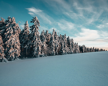 Landscape, Winter, Nature, Trees, Snow, Ate HD wallpaper