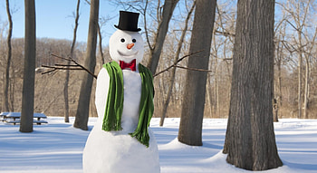Holidays, Winter, Trees, New Year, Snow, Snowman, Christmas, Scarf HD wallpaper