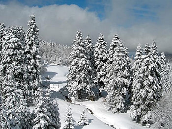 do you miss me?, winer, snow, missing HD wallpaper