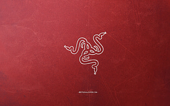 Razer logo, red background, white chalk logo, Razer emblem, retro red background, Razer, creative art, retro style HD wallpaper