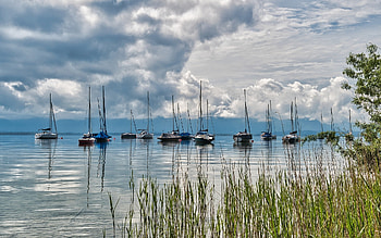Sailboats on Lake, clouds, reeds, lake, yachts HD wallpaper