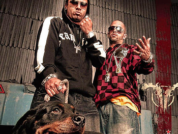 Wisin & Yandel, yandel, urban, wisin, wy, puerto rico, reggaeton HD wallpaper