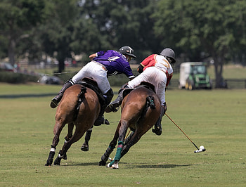 The Villages Polo Club, Exciting polo events, Polo action, Spectacular polo matches HD wallpaper