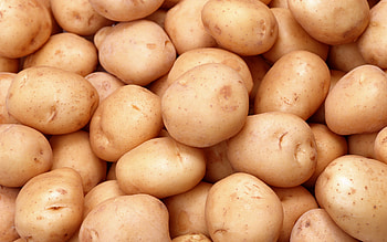 Potato , High definition, Background , Digital display HD wallpaper