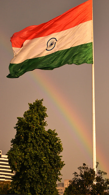 Indian Flag Tiranga, indiantiranga, indianflag HD phone wallpaper