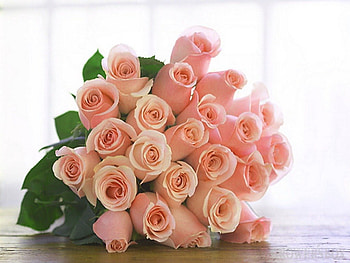 First spring bouquet, pink, bouquet, leaves, roses, flowers HD wallpaper