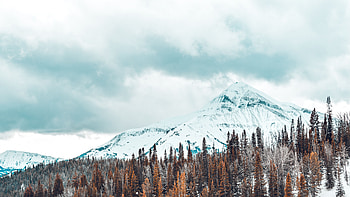 Nature, Trees, Mountains, Snow Covered, Snowbound HD wallpaper
