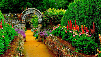 garden , Gorgeous , Beautiful gardens, Amazing scenes HD wallpaper