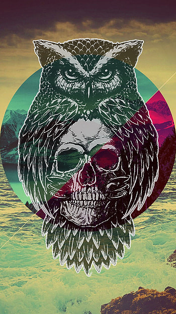 Owl Skull, Animal, owl HD phone wallpaper