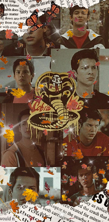 Fall Miguel Diaz, orange, graph HD phone wallpaper