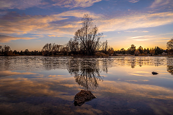 Nature, Water, Twilight, Lake, Reflection, Wood, Tree, Dusk HD wallpaper