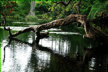 Is adrift, nature, rivers HD wallpaper
