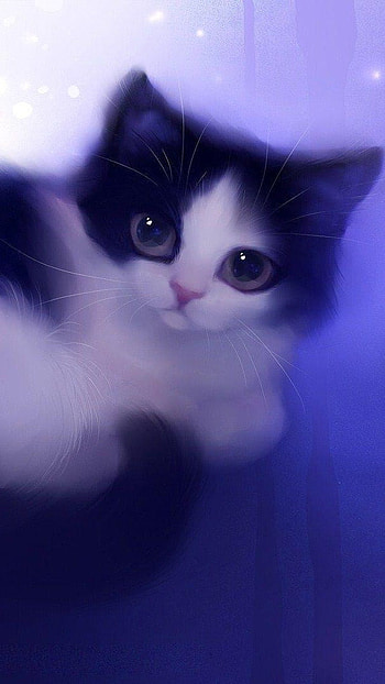 Meow cat, cat HD phone wallpaper