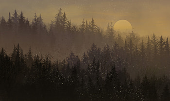 Trees, Art, Moon, Snow, Forest HD wallpaper