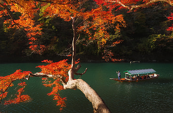 Kyoto Parks,Japan, river, boats, branches, trees, autumn, nature, forest, park HD wallpaper