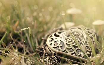 High-definition jewelry , Captivating backgrounds, Breathtaking , Dazzling beauty HD wallpaper